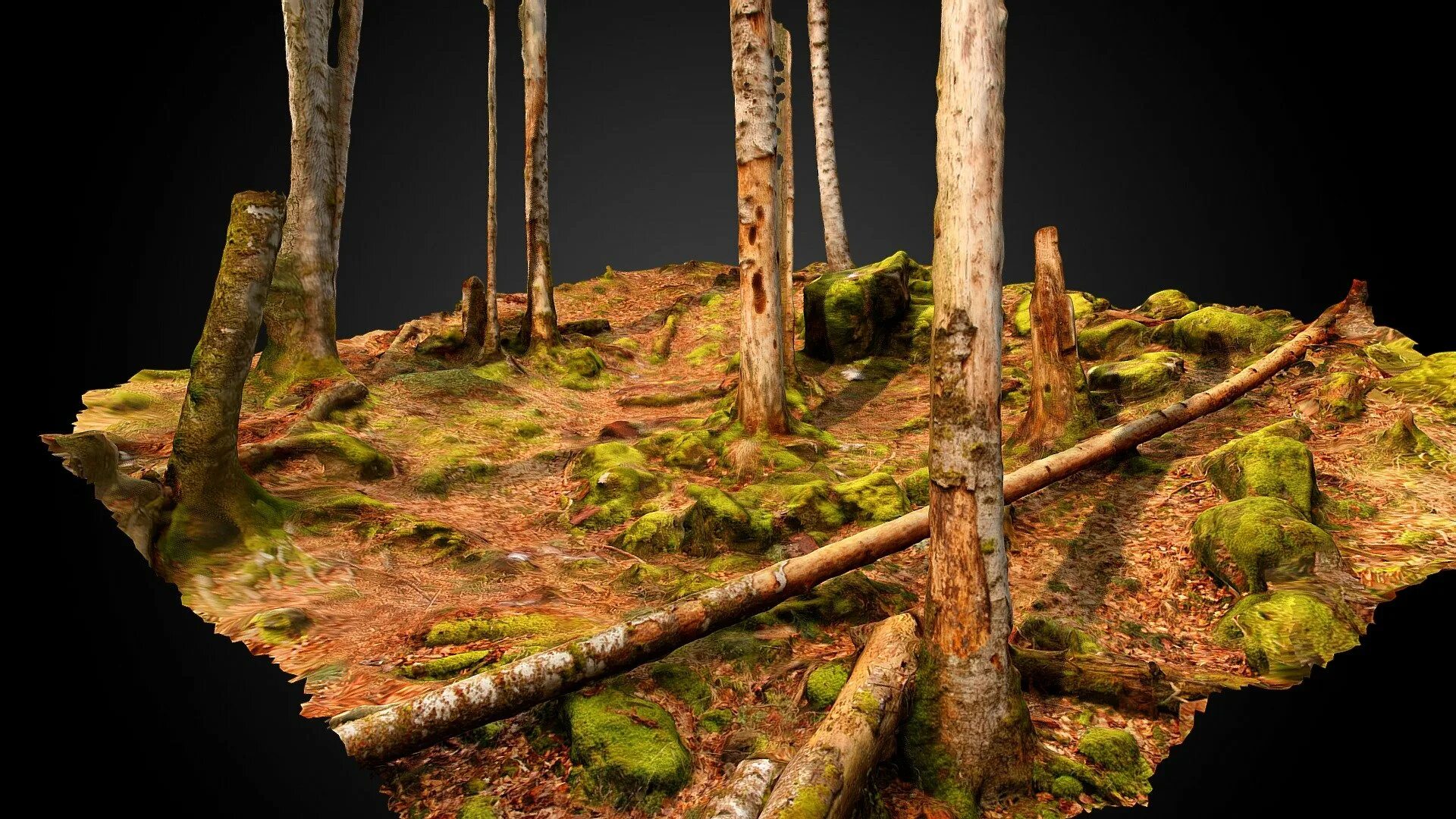Лес 3d. Модель леса. Лес 3d модель. Макет лес. Лес 3 действия
