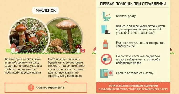 Отравление грибами симптомы через какое время. Первая помощь при отравлении ядовитыми грибами. отравление грибами симптомы и первая помощь. отравление ядовитыми грибами симптомы и первая помощь. симптомы и первая помощь при отравлении ядовитыми грибами.