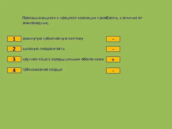 Тест по теме рептилии. Земноводные в процессе эволюции первыми приобрели. Пресмыкающиеся унаследовали от земноводных. Какие отличия в п с земноводных появились в процессе эволюции. Чем пресмыкающиеся отличаются от земноводных 7 класс тест.