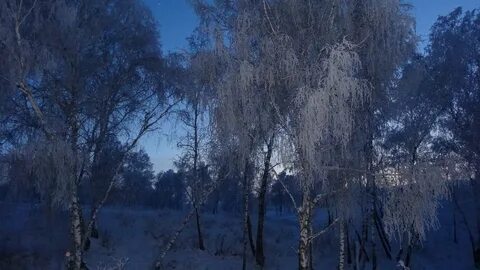 Иней как ночь