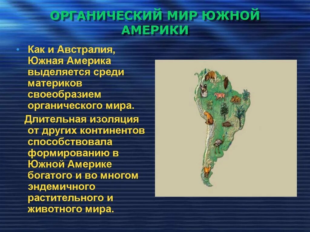 Природные области южной америки. Органический мир и природные зоны Южной Америки. Южная Америка презентация. Презентация на тему Южная Америка. Растительный и животный мир Южной Америки.