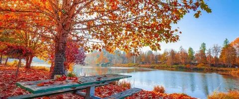 Fall better