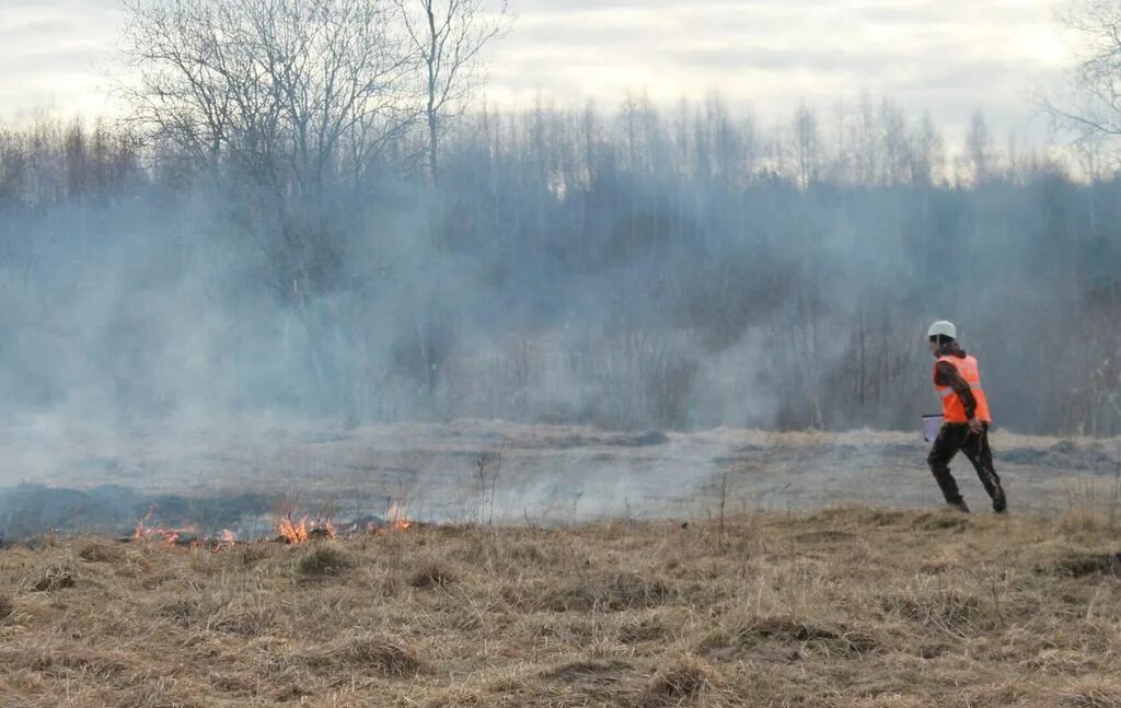 Пожар в волховском районе. Лесные пожары. тушение лесных пожаров. пожарные тушат лес. горящая деревня.