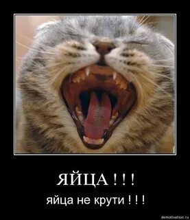 Крути меня