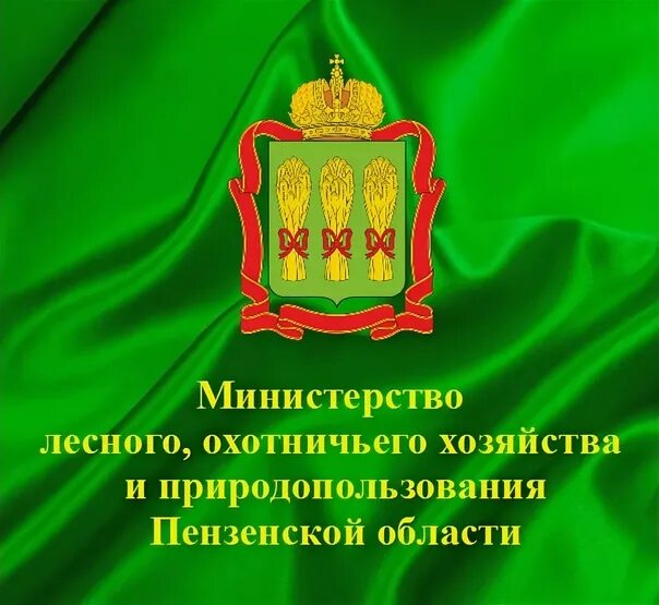 Гку юрсовское лесничество. Департамент природных ресурсов лесного и охотничьего. Департамент природных ресурсов лесного и охотничьего. Департамент природных ресурсов лесного и охотничьего. Департамент природных ресурсов лесного и охотничьего.