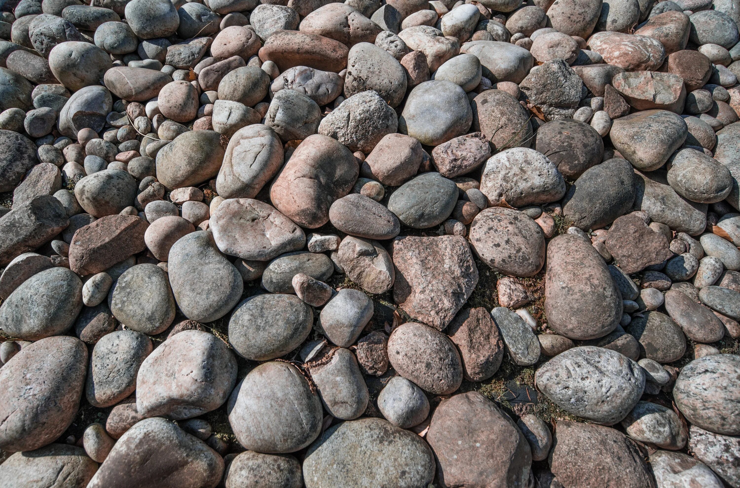 Stone vs. Галечник порода. Крупный галечный камень. Галька Горная порода. Камни грубой породы.