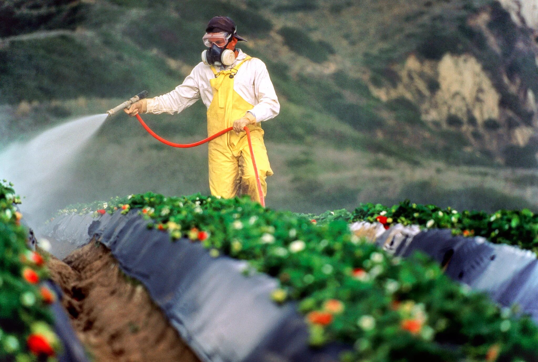 Пестициды. Пестициды в сельском хозяйстве. Сельское хозяйство загрязнение. Загрязнение почвы пестицидами.