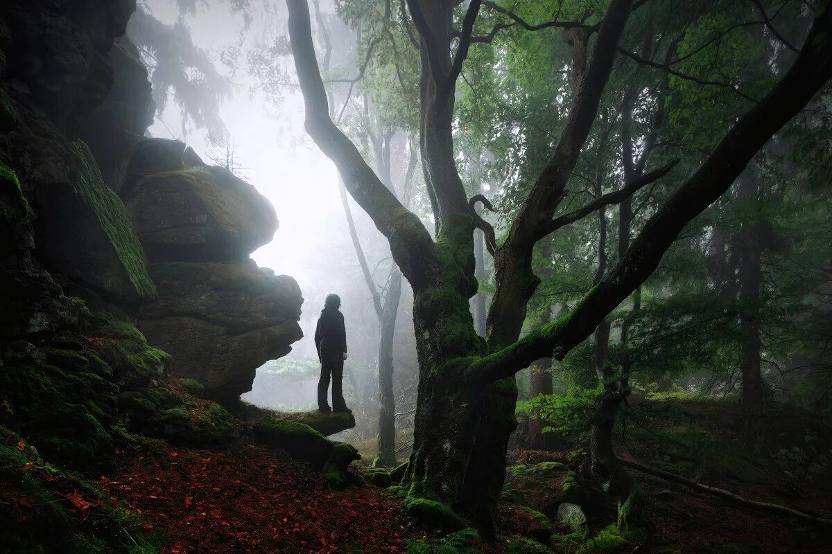 Мистическая зона. Грин таинственный лес. Волшебный лес братьев Гримм Германия. Мистические пейзажи.