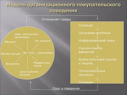 Стратегии поведения потребителя