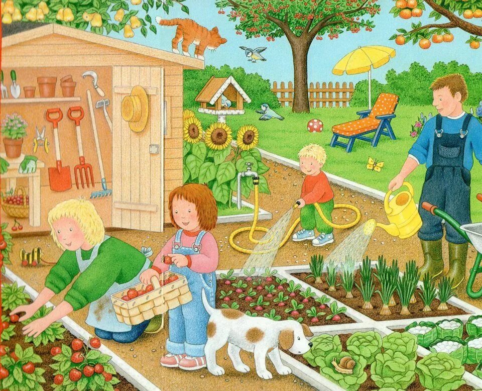 Тема недели сад огород. Картина огород для детей. Сюжетные картины. Сюжетная картина огород. Картина огород для детского сада.