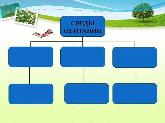 Среды обитания организмов. Интеллект карта среда обитания. Среды обитания организмов интеллект карта. Среда обитания 5 класс интеллект карта.