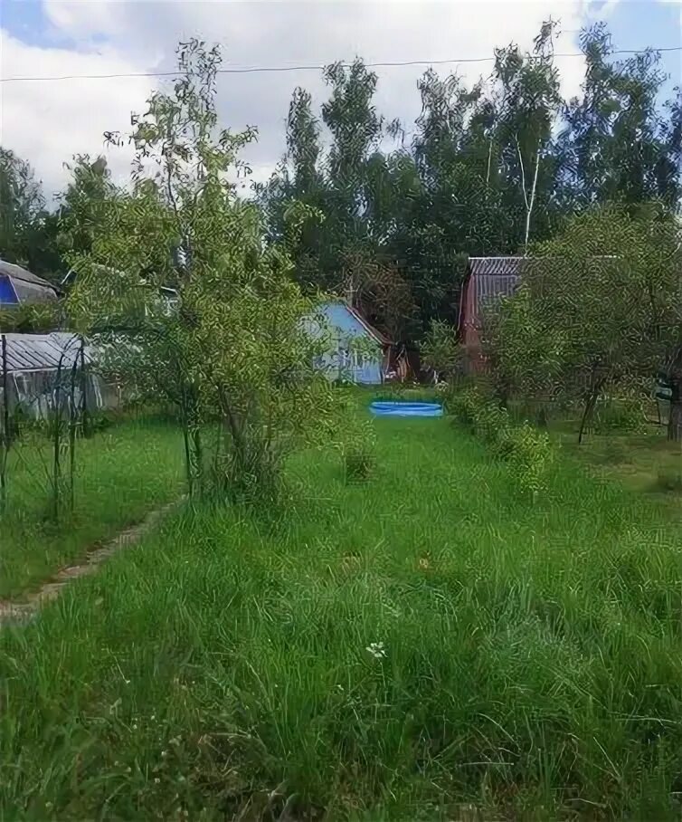 Кобралово (посёлок). Снт березовые дали. Снт березовая роща. Снт березовая роща московская область. Снт березовая роща 1 ярославль.