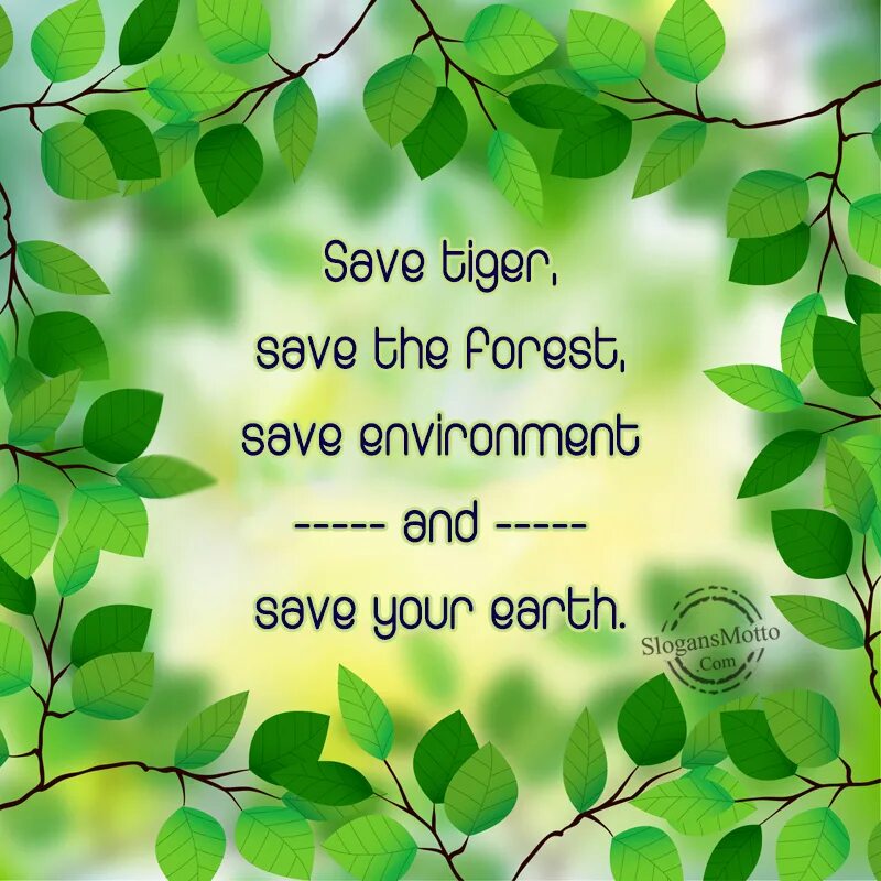 Save to say. Слоган про природу. слоганы о природе на английском. save nature. save the environment.