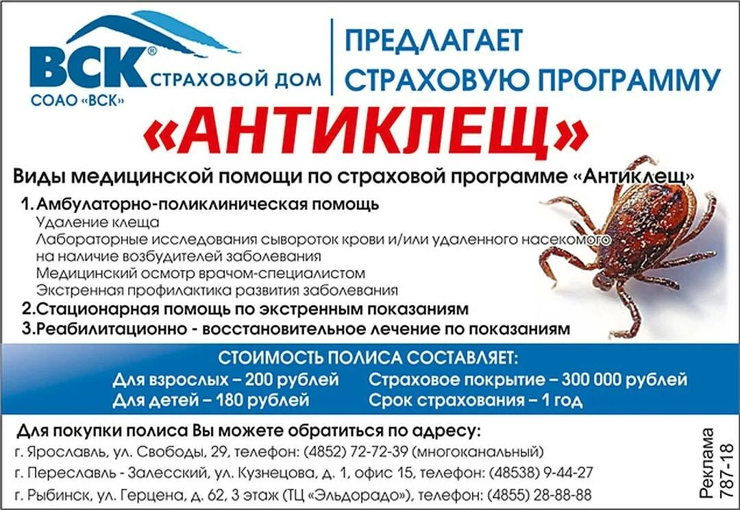 Оформить страховку от клеща. Страхование антиклещ. страхование от клеща вск. страхование от клеща реклама. реклама страховки от клеща.