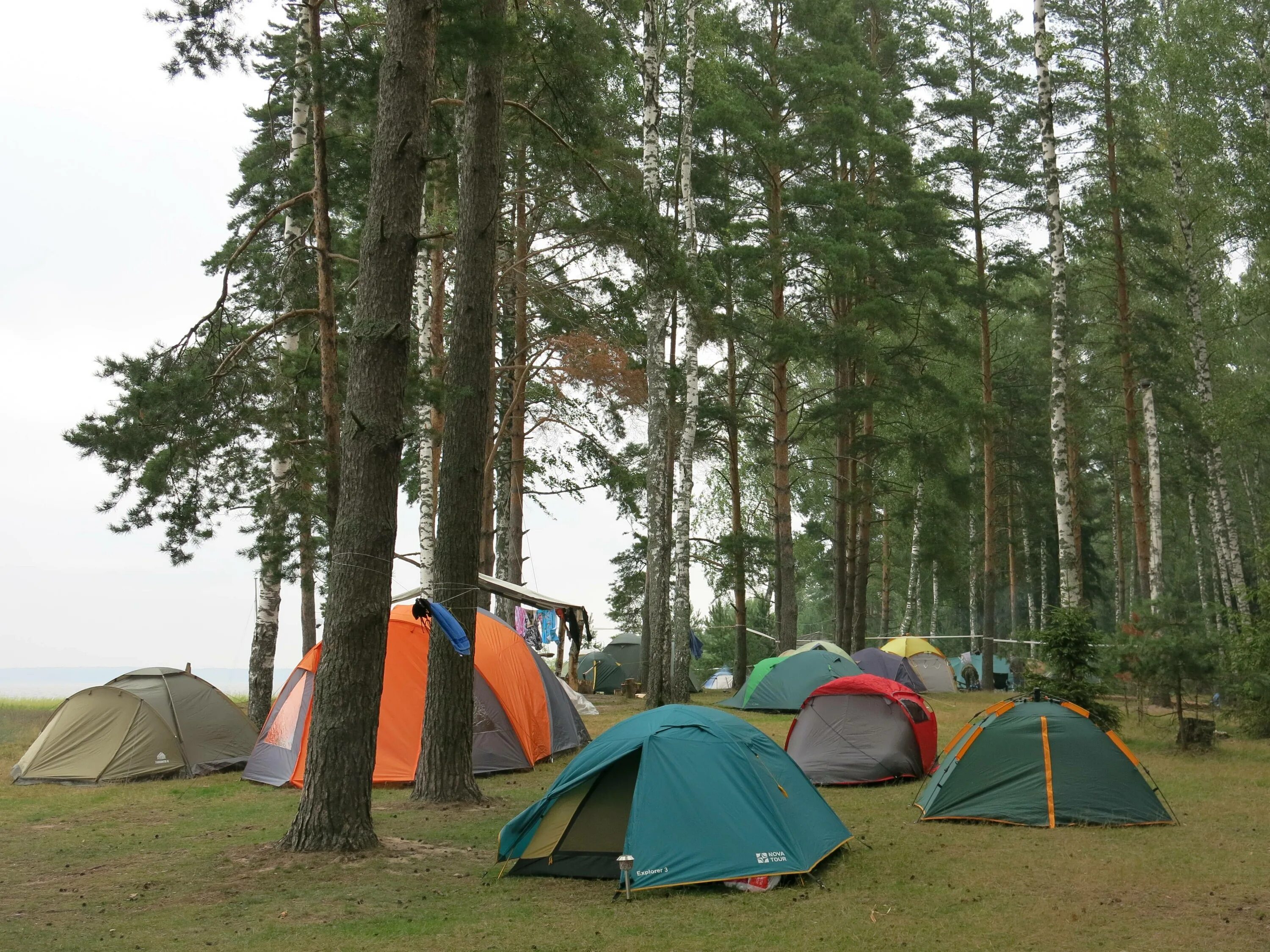 Camping в подмосковье. Кемпинг Олений Бор Калязин. Остров Уходово палаточный лагерь. Рыбинское водохранилище палаточный лагерь. Оз Сапшо палаточный городок.