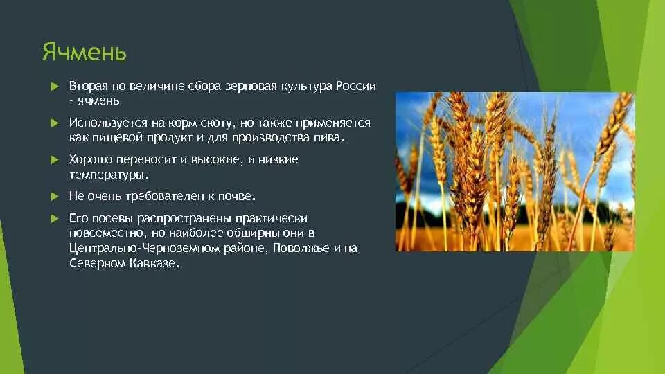 Факторы размещения природных ресурсов. Факторы размещения природных ресурсов. Факторы размещения природных ресурсов. Факторы размещения природных ресурсов. Факторы размещения природных ресурсов.
