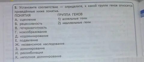 Определите к какому типу относят приведенные ниже