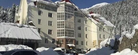 Домбай пихтовый