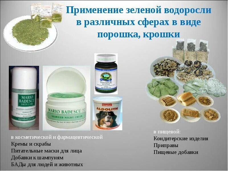 Средств для постоянного использования. Лекарственные средства из водорослей. водоросли, используемые в медицине. использование водорослей в медицине. практическое применение водорослей.
