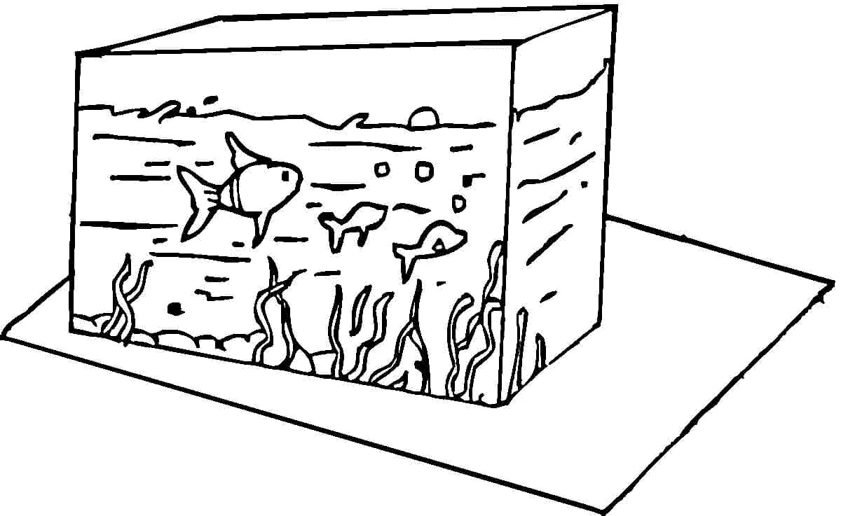 Раскраска аквариум с рыбками. Аквариум раскраска для детей. Раскраска аквариум с рыбками для детей. Аквариум с рыбками рисунок.