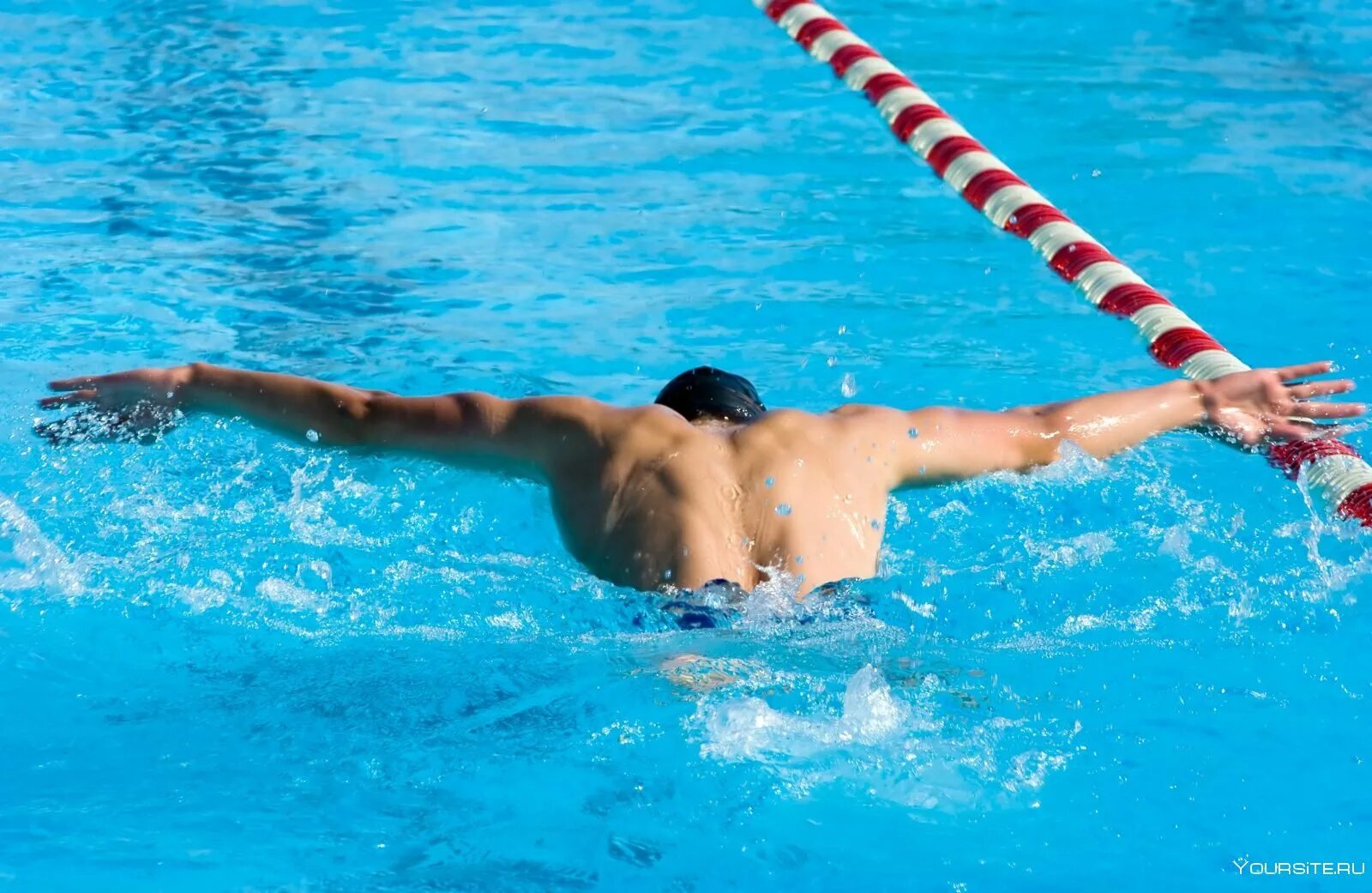 Майкл фелпс баттерфляй. Подводный спорт плавание в ластах. Баттерфляй травмы. Плавание брассом на спине. Баттерфляй травмы.