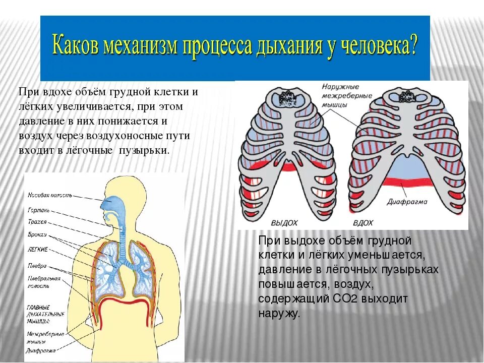 Сильная боль при дыхании