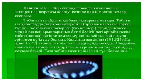 Мүше жұтып қойды