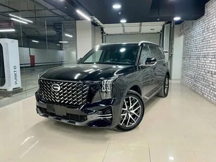 Gac gs8 2.0 at