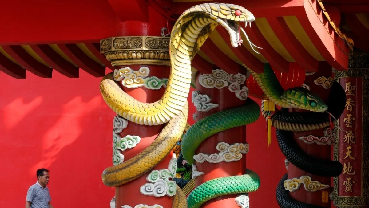 Змея на китайском. Куала Лумпур китайский храм. Киттайский змей. Змея Япония.