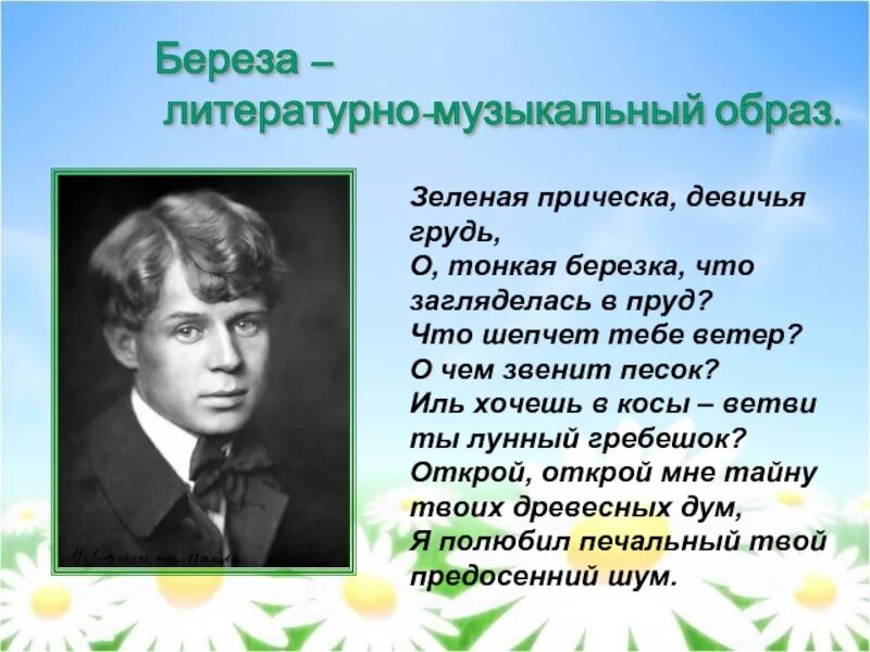 Есенин зеленая прическа стих. Стихотворение Есенина зеленая прическа. Зеленая прическа Есенин. Есенин стрижка.