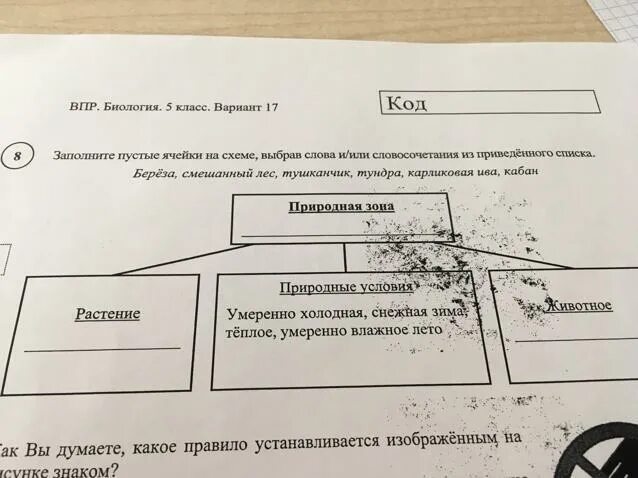 Впр 5 класс биология 9 задание