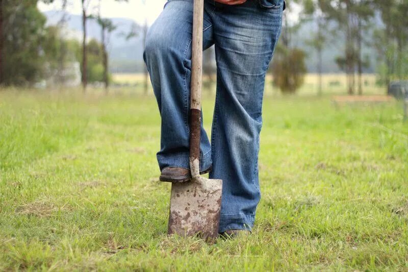 Копать землю лопатой. Копать землю лопатой. Копать землю. Копать землю лопатой. Копка огорода.