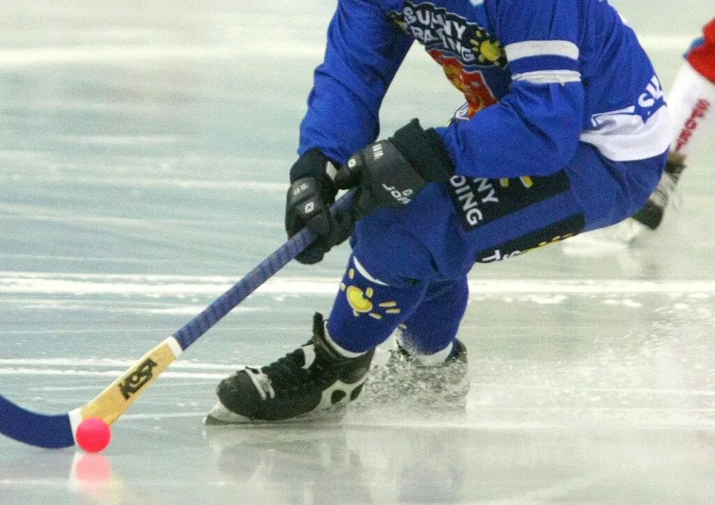 Футбол мяч хоккей. Bandy хоккей с мячом. Вратарь БЕНДИ. БЕНДИ игра хоккей. Хоккей с мячом на льду.