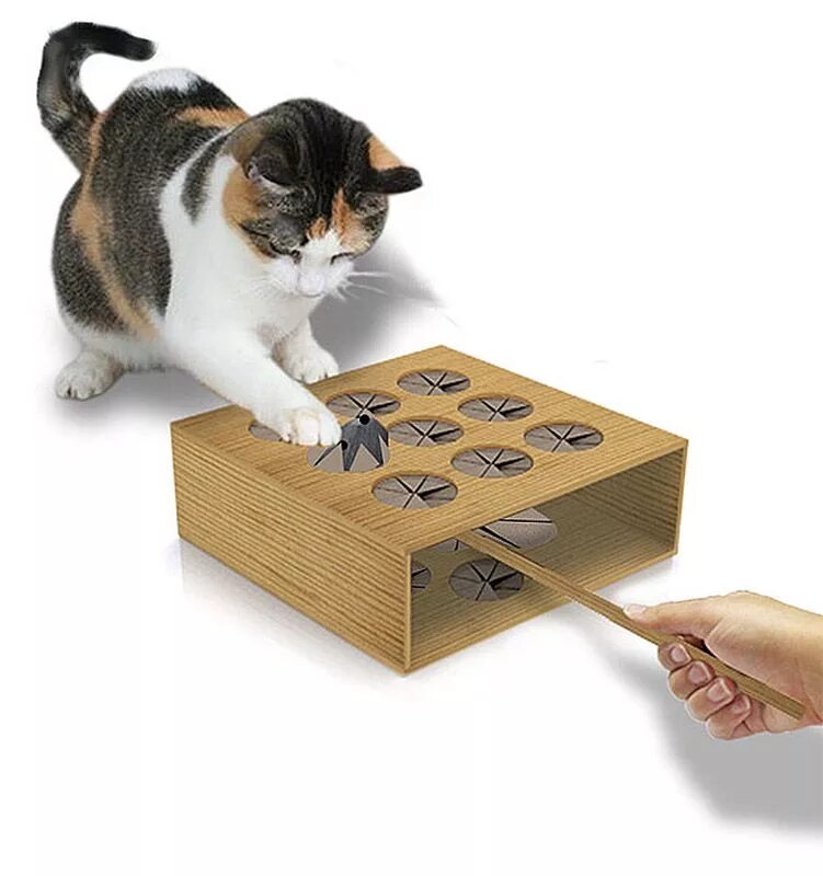 Во что поиграть с котом. Развивающие игрушки для котов. Игрушка кот. Деревянные игрушки для кошек. Необычные игрушки для кошек.
