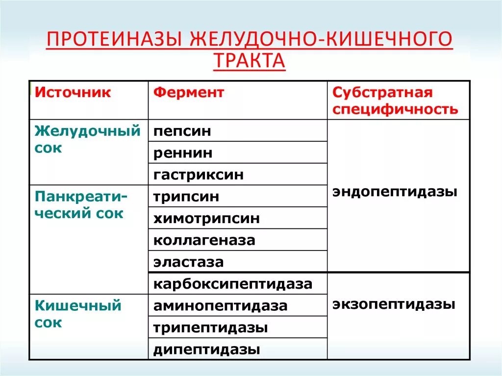 Экспериментатор решил установить активность фермента трипсина. Ферменты пепсин и трипсин. Пепсин трипсин химотрипсин. Трипсин химотрипсин ферменты. Протеиназа пищеварительного тракта.