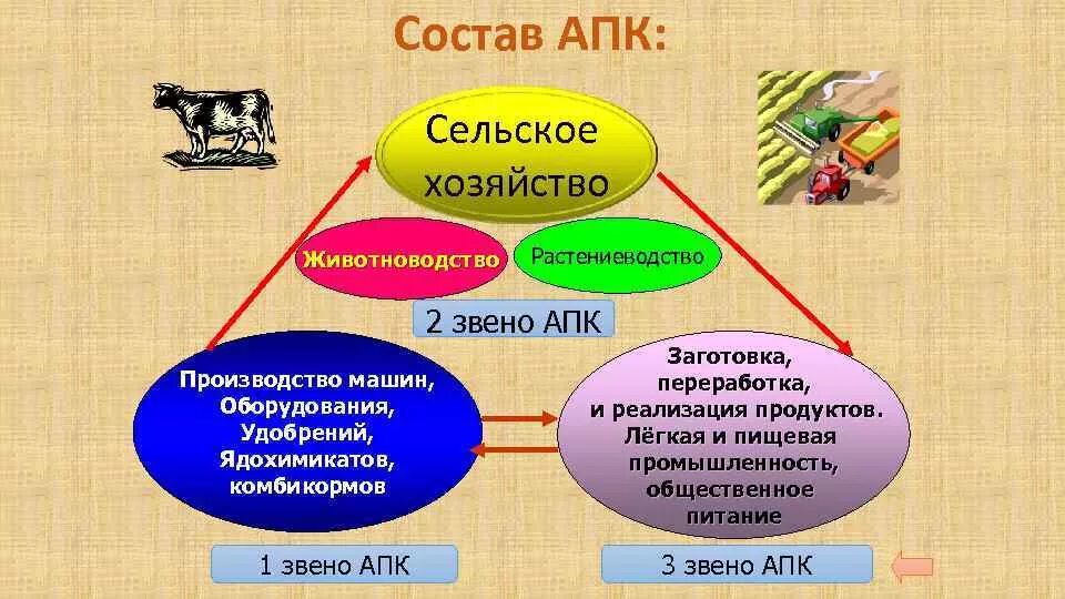Каково значение каждого из звеньев агропромышленного комплекса. Каково значение каждого из звеньев агропромышленного комплекса