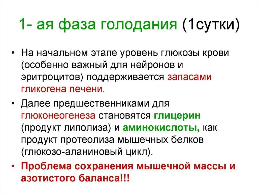 Этапы голодания. Стадии при голодании. Голодание стадии этапы. Этапы лечебного голодания. Голод правила