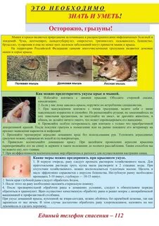 Заразиться от крыс