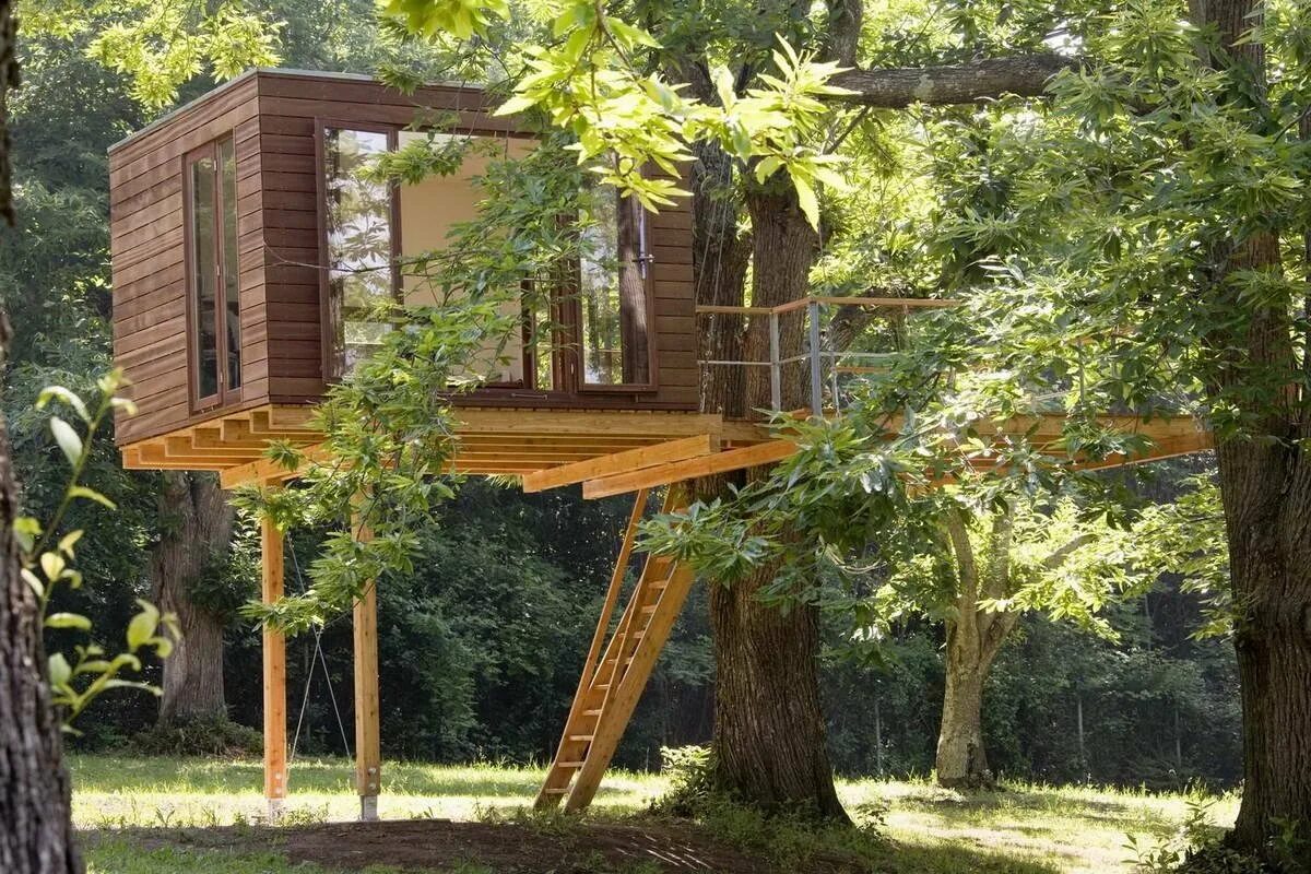 Tree House Кишинев. Алникский дом на дереве. Детские домики на дереве. Небольшой домик на дереве.