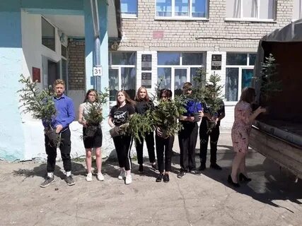Школа сухой