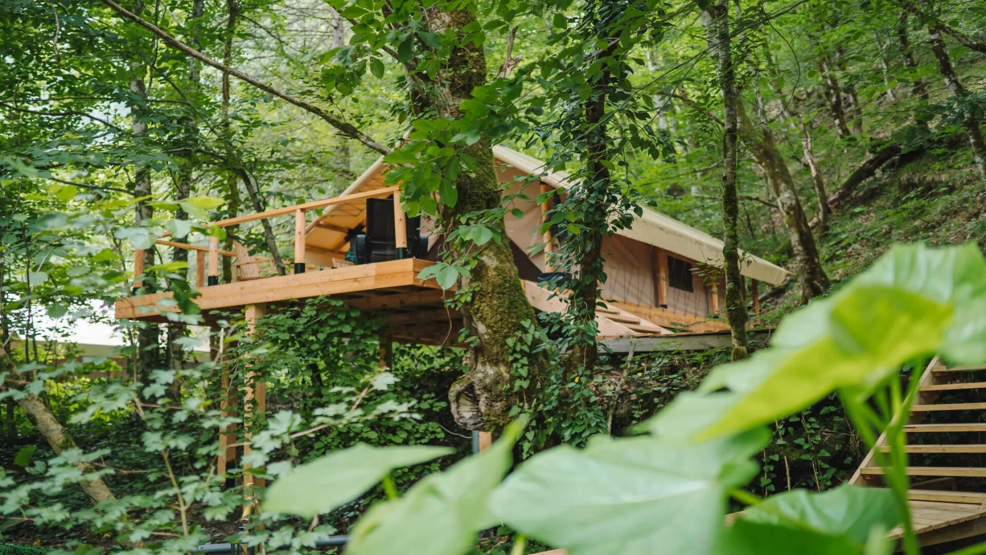 Garuda glamping abkhazia. Глэмпинг "Garuda" в Абхазии. Glamping Garuda Абхазия Сухум. Гаруда глэмпинг Абхазия. Гаруда глэмпинг Сухум.