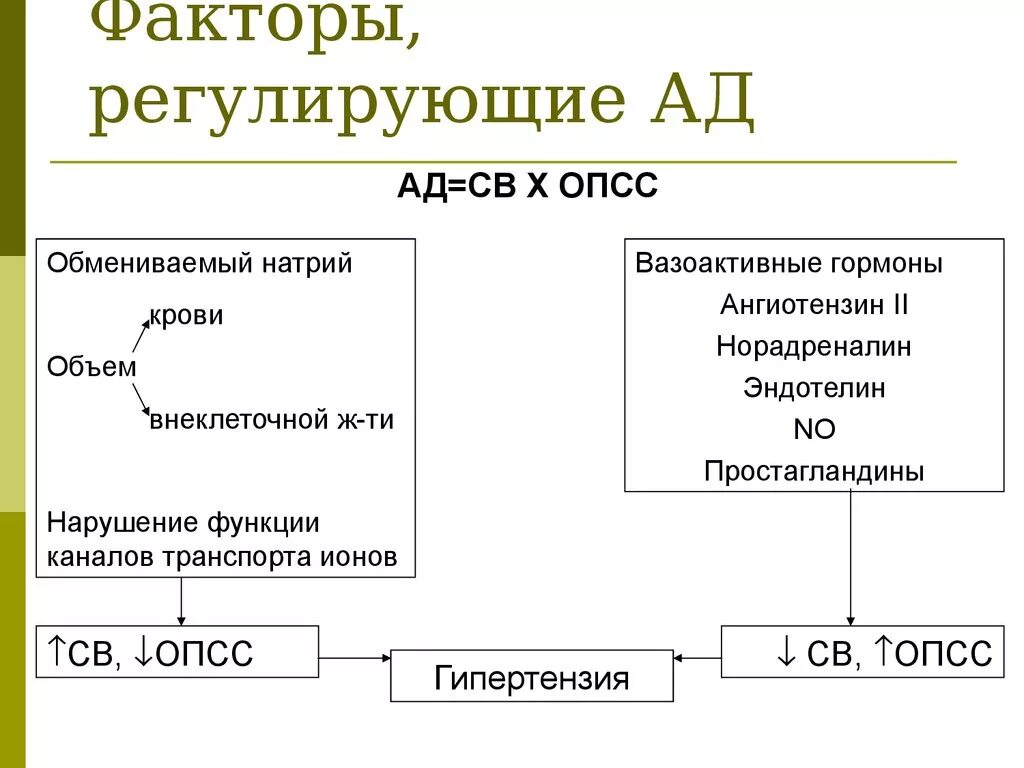 Опсс это медицина. Регулирующие факторы. Факторы регулирующие объем внеклеточной жидкости. Перечислите факторы, регулирующие объем внеклеточной жидкости.. Перечисли регулирующие факторы.