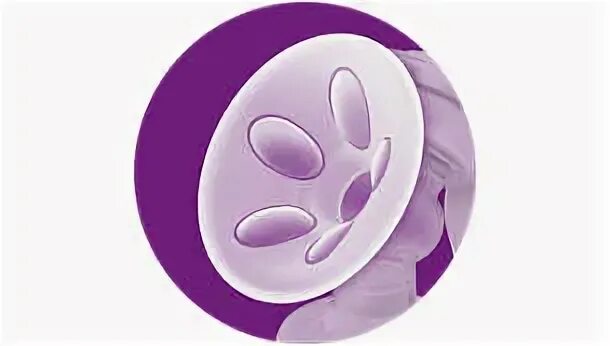 334 31 31. Philips avent scf334/31, white. 334 31 31. Avent scf332 сколько характеристики. 334 31 31.
