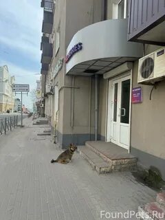 Радищево 40