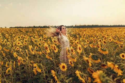 Фото с подсолнухами в поле