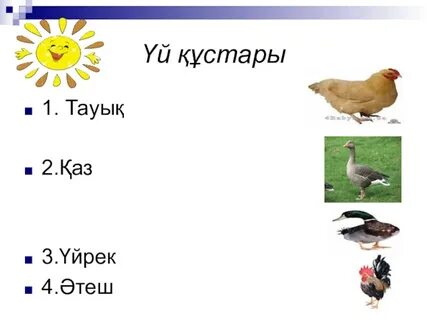 Порно үлкен html хабарламасы