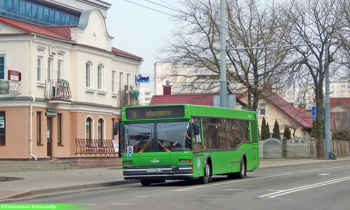 МАЗ 103 Гродно. Новогрудок ул.Гродненская, 103 Гродненская. Автобус Гродно. Транспорты в Гродно.