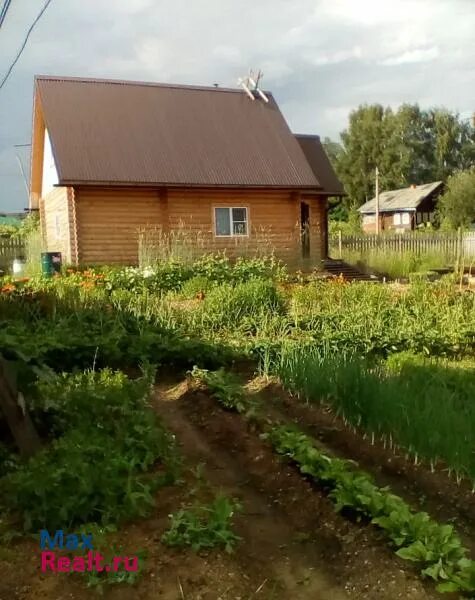 Дачи сыктывкар. Дачи сыктывдинском районе. Дачи сыктывдинском районе. Дачи сыктывкар. Тыла-ю дача.