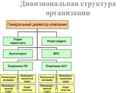 Дивизионная структура
