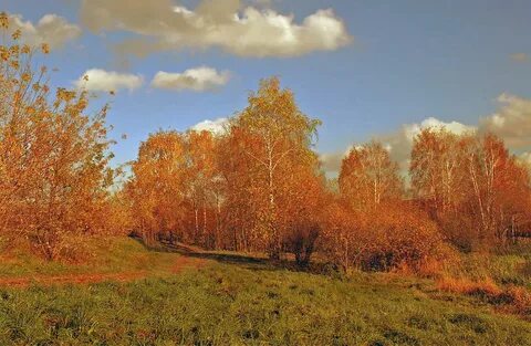 Ранняя осень и поздняя осень